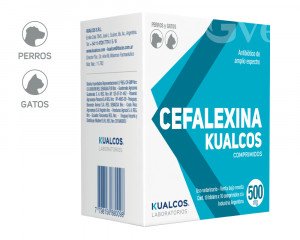 Imagen de Cefalexina 500 mg  CAJA